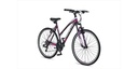 Bicycle Altec Magnetic Trekking 28"/52 cm/Gray-Pink/27605