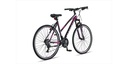 Bicycle Altec Magnetic Trekking 28"/52 cm/Gray-Pink/27605