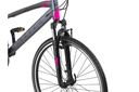 Bicycle Altec Legarda Trekking 28"/49 cm/Anthracite-Pink/28026