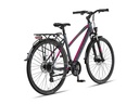 Bicycle Altec Legarda 28"/49 cm/Anthracite-Pink/285060