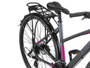 Bicycle Altec Legarda 28"/49 cm/Anthracite-Pink/285060