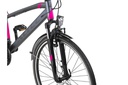 Bicycle Altec Legarda 28"/49 cm/Anthracite-Pink/285062