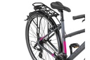 Bicycle Altec Legarda 28"/49 cm/Anthracite-Pink/285062