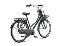 Altec Dutch 28"/50cm/Transportfiets/N-3/Gray