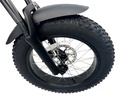 DIABLO E-BIKE, FAT BOY, MATT-BLACK/BLACK, 15,6AH 48V 748,8WH