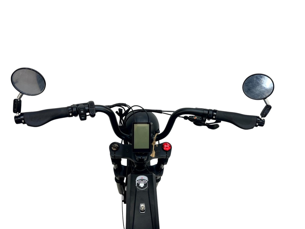 E-BIKE DIABLO BABOON 20" matt black (48V 15Ah 696Wh)