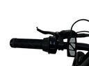 DIABLO E-BIKE, COOPER, 7DR SHIMANO, MATT BLACK, HYDRAULIC, 1000776 ACCU (15AH,48V,720WH)