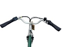 E-BIKE VOGUE BASIC, 7SP 1, 47CM, GREEN, 36V/13Ah/45Nm/468Wh