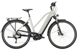 [MP-HART-087] VICTORIA Elektrische eTrekking 12.9 28"-Alle maten &amp; kleuren